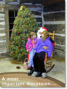 A most important discussion.....two young girls talk with Santa.