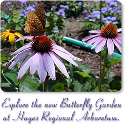 Butterfly Garden at Hayes Regional Arboretum.