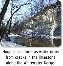 Huge icicles form as water drips from cracks in the limestone along the Whitewater Gorge.