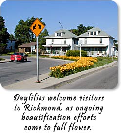 Daylilies welcome visitors to Richmond, as ongoing beautificatin efforts come to full flower.