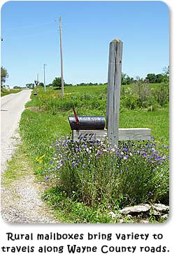 Rural mailboxes bring vareity to travels along Wayne County roads.