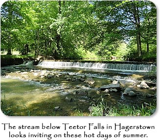 The stream below Teetor Falls in Hagerstown looks inviting on these hot days of summer.
