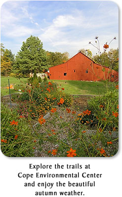 Explore the trails at Cope Environmental Center and enjoy the beautiful autumn weather.