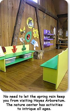 No need to let the spring rain keep you from visiting Hayes Arboretum.  The nature center has activites to intrigue all ages.