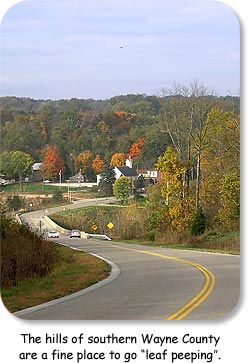 The hills of southern Wayne County are a fine place to go "leaf peeping".