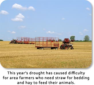This year's drought has caused difficulty for area farmers who need straw for bedding and hay to feed their animals.