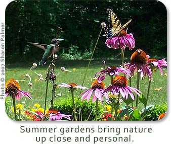 Summer gardens bring nature up close and personal.