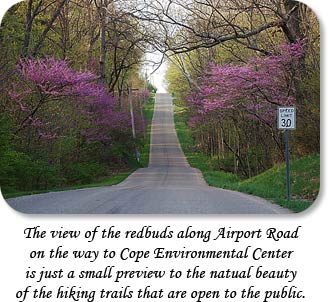 The view of the redbuds along Airport Road on the way to Cope Environmental Center is just a small preview to the natural beauty of the hiking trails that are open to the public.