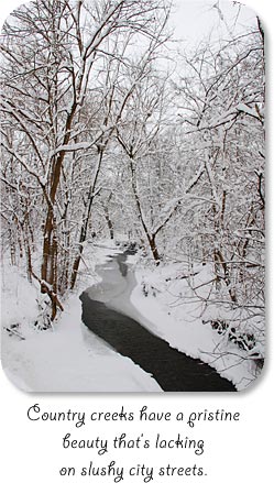 Mud Creek - Country creeks have a pristine beauty that's lacking on slushy city streets.
