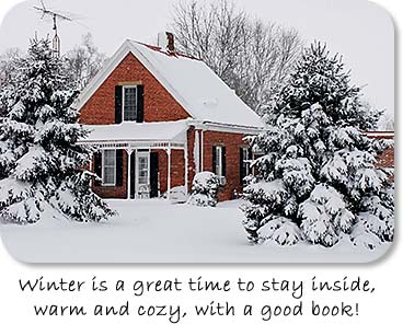 Winter is a great time to stay inside, warm and cozy, with a good book.