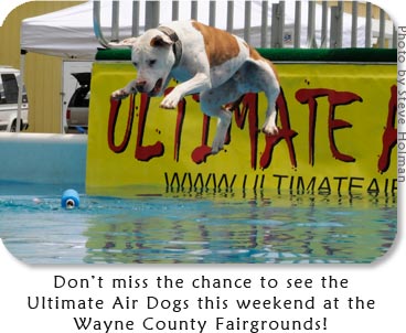 Don't miss the chance to see the Ultimate Air Dogs this weekend at the Wayne County Fairgrounds!