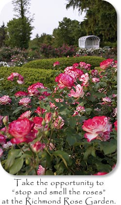Photo: Roses, Text: Take the opportunity to "stop and smell the roses" at the Richmond Rose Garden.