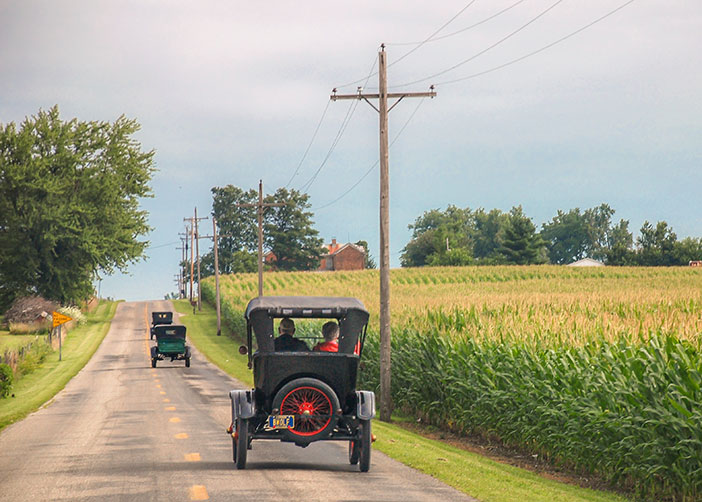 Photo: Model T's and Corn field