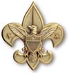 Logo: Boy Scouts of America