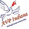 Logo: AVP Indiana