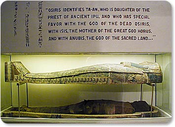 Mummy at Joseph Moore Museum