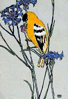 Goldfinch - paint on cardboard