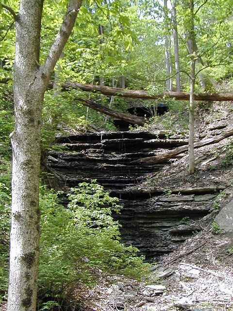 Layers of limestone and shale are exposed along the trail in the Whitewater Gorge.