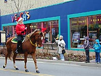 Horse in front of Veaches.