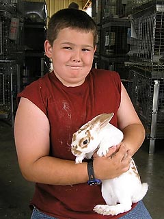 Boy with brown and white rabbit.