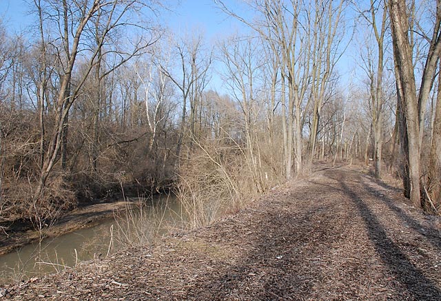 Photo: River and Woodchip Covered Trail